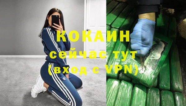 прущие грибы Баксан