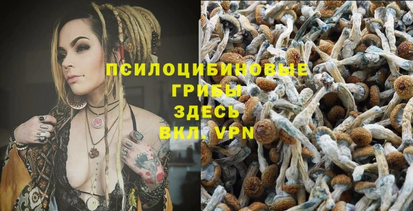 мяу мяу мука Армянск