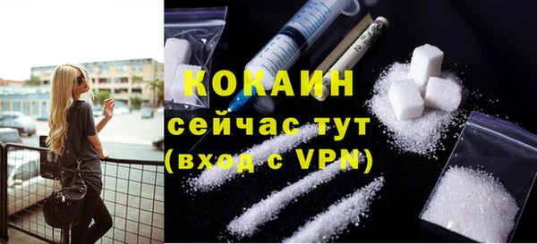 дживик Балахна